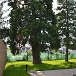 Apartament Akvamarin *
