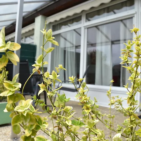 Akvamarin كيستاي