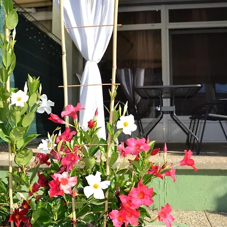 Akvamarin * Keszthely