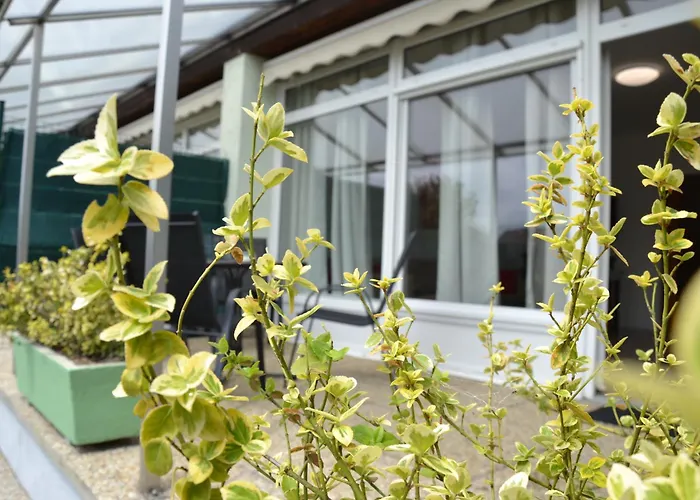 Akvamarin ケストヘイ