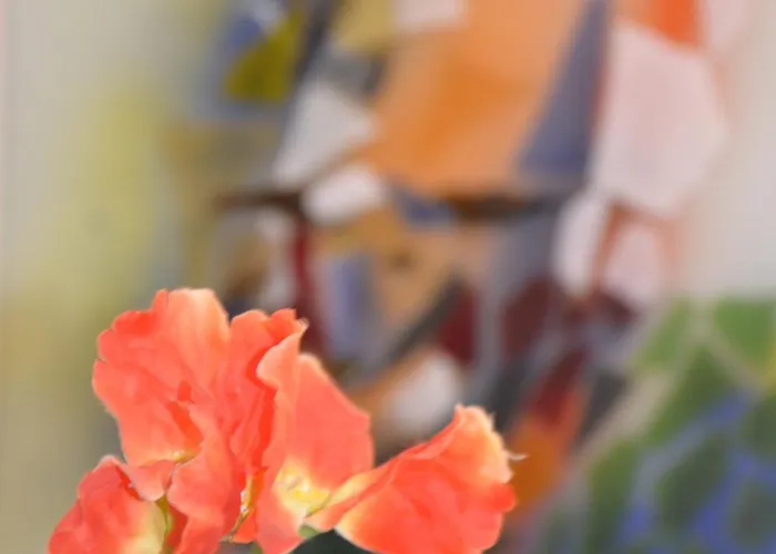 Akvamarin ケストヘイ